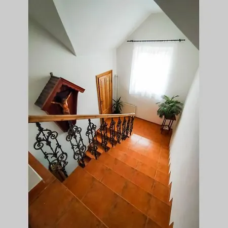 דירה Rodinne Vintage Apartma יאבלונק נאד ניסו